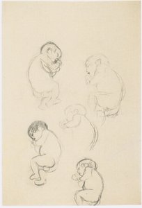 Five Studies of a Sleeping Child